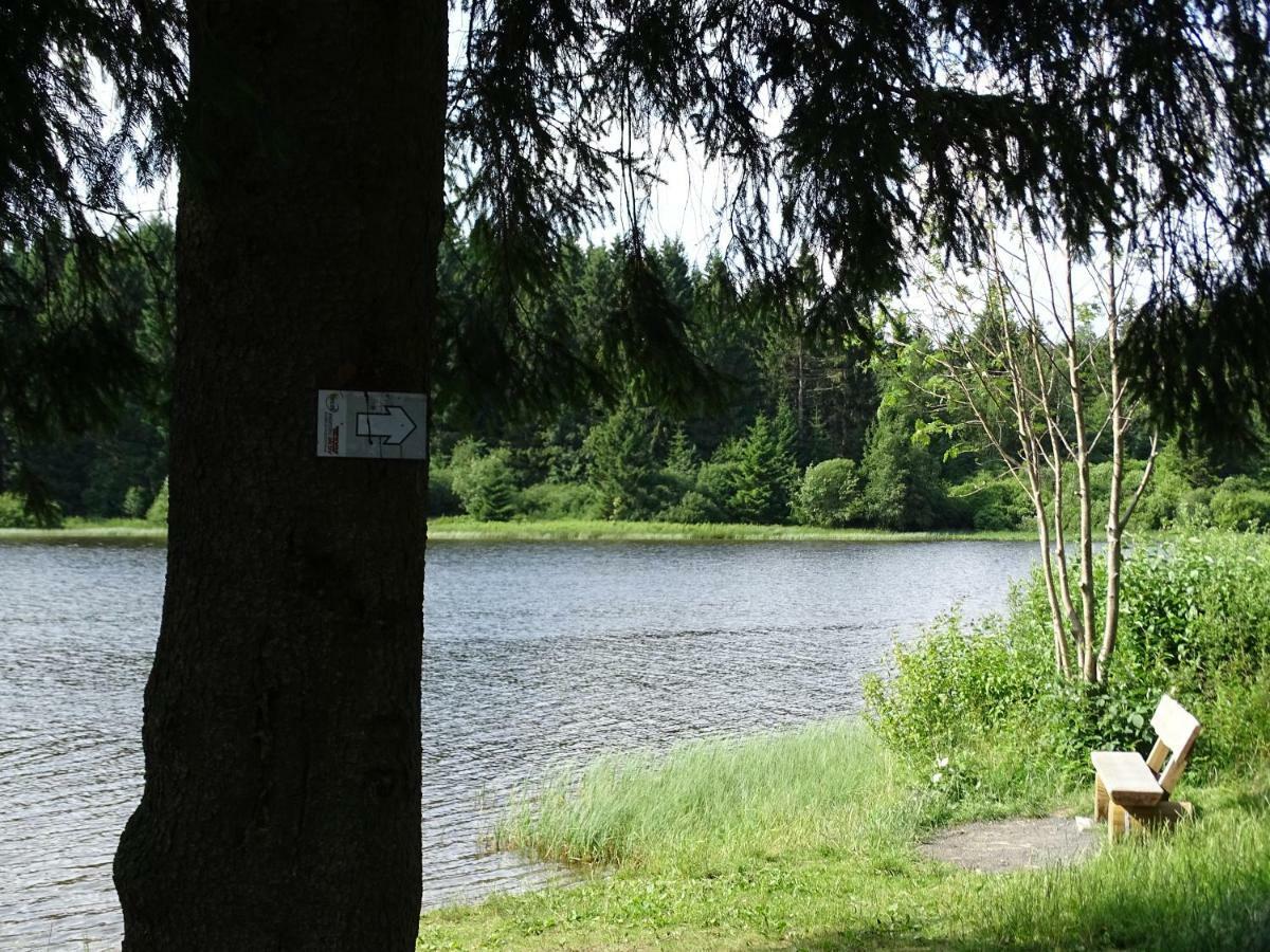 Huettenflair Am See Mit Kamin 克劳斯塔尔-采勒费尔德 外观 照片