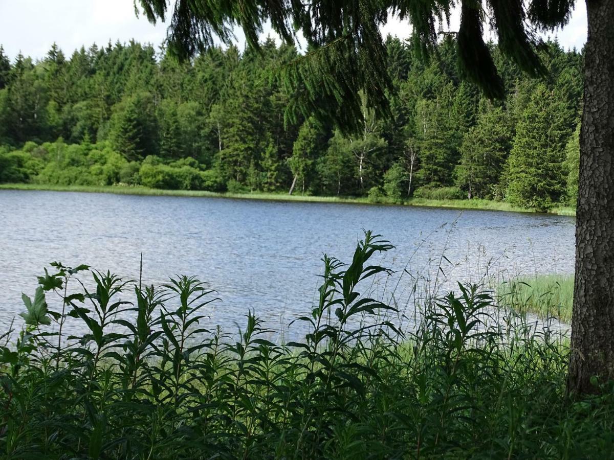 Huettenflair Am See Mit Kamin 克劳斯塔尔-采勒费尔德 外观 照片